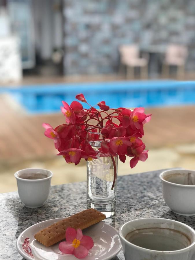 Floban & Mirdar Koshi Apartment